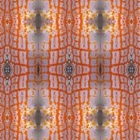 Longnose Hawkfish Pattern